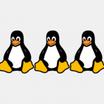 5 distribuții Linux care vor crește în popularitate în 2026 5 distribuții Linux care vor crește în popularitate în 2026