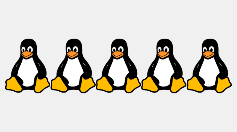 5 distribuții Linux care vor crește în popularitate în 2026