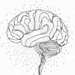 Inteligența artificială și comportamentele neașteptate ale modelelor AI Inteligența artificială și comportamentele neașteptate ale modelelor AI