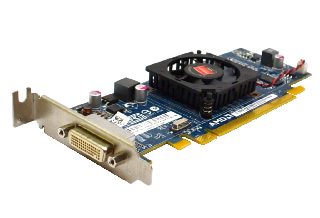 Imagine produs: Placa video PCI-E ATI Radeon 6350 512MB, DMS-59, low profile design + Adaptor cablu video DMS 59 la 2x DVI